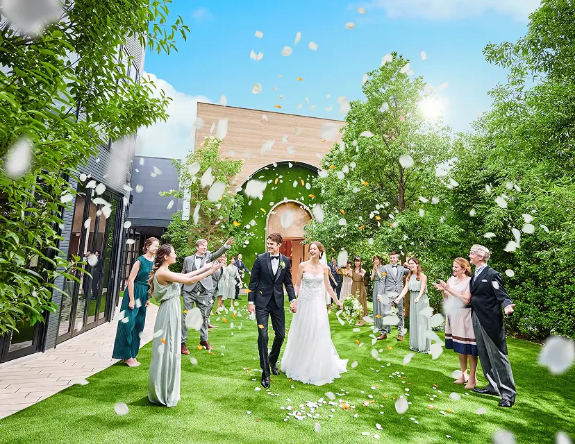 アコールハーブ