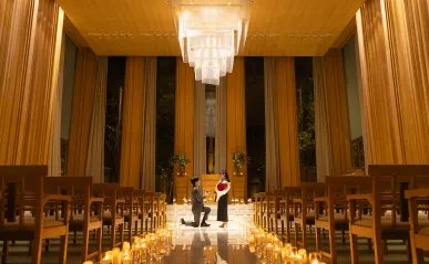 ミエルシトロン