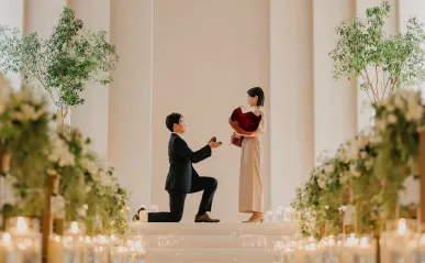 オリーブアリア